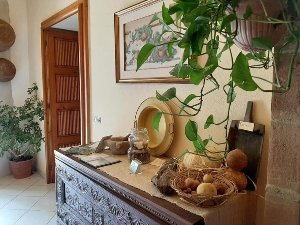 مامويادا B&B Domus Deiana المظهر الخارجي الصورة