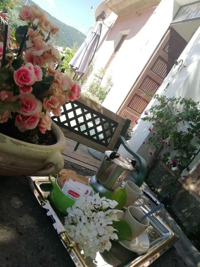 مامويادا B&B Domus Deiana المظهر الخارجي الصورة
